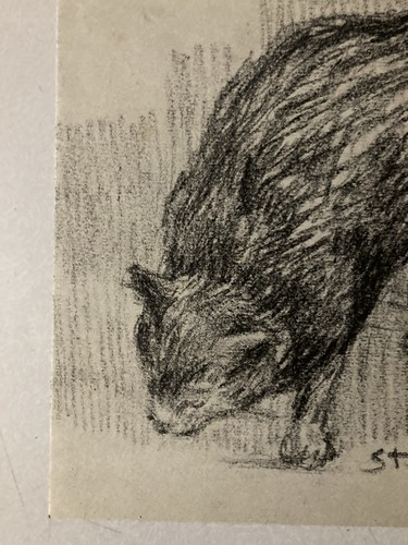Original drawing cat theophile - original,